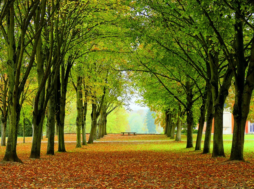 Blog 37 Taxi Chamarande: Guide complet pour visitez ses environs